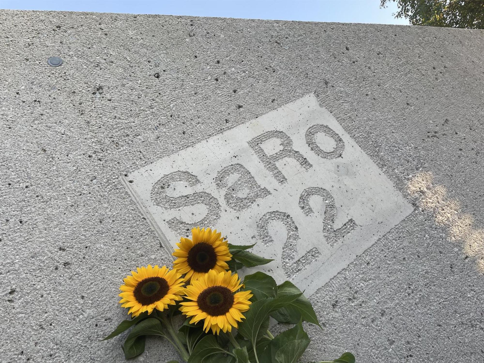 호프가르텐 임 브릭젠탈 Haus Saro 아파트 외부 사진